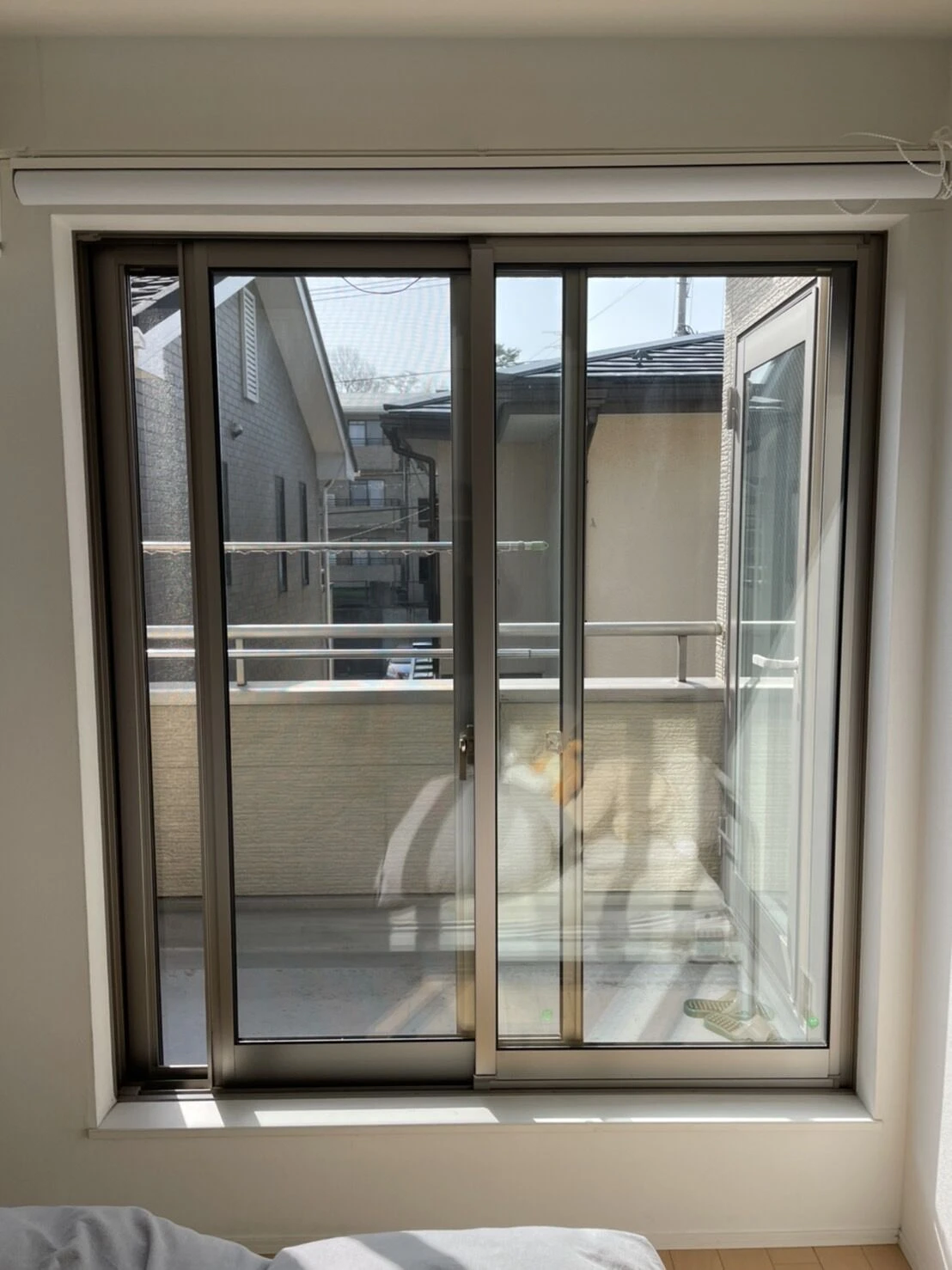 before画像