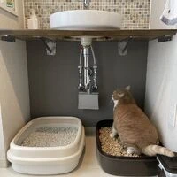 画像1494：神奈川県横浜市／某マンション／風除室ドア框カバー工法