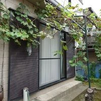 before画像