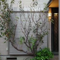 画像1704：神奈川県横浜市／某マンション／風除室ドア框カバー工法