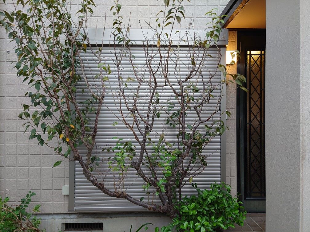 画像1704：神奈川県横浜市／某マンション／風除室ドア框カバー工法