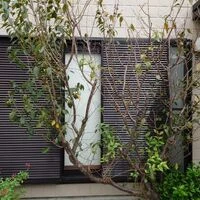 画像1705：神奈川県横浜市／某マンション／風除室ドア框カバー工法