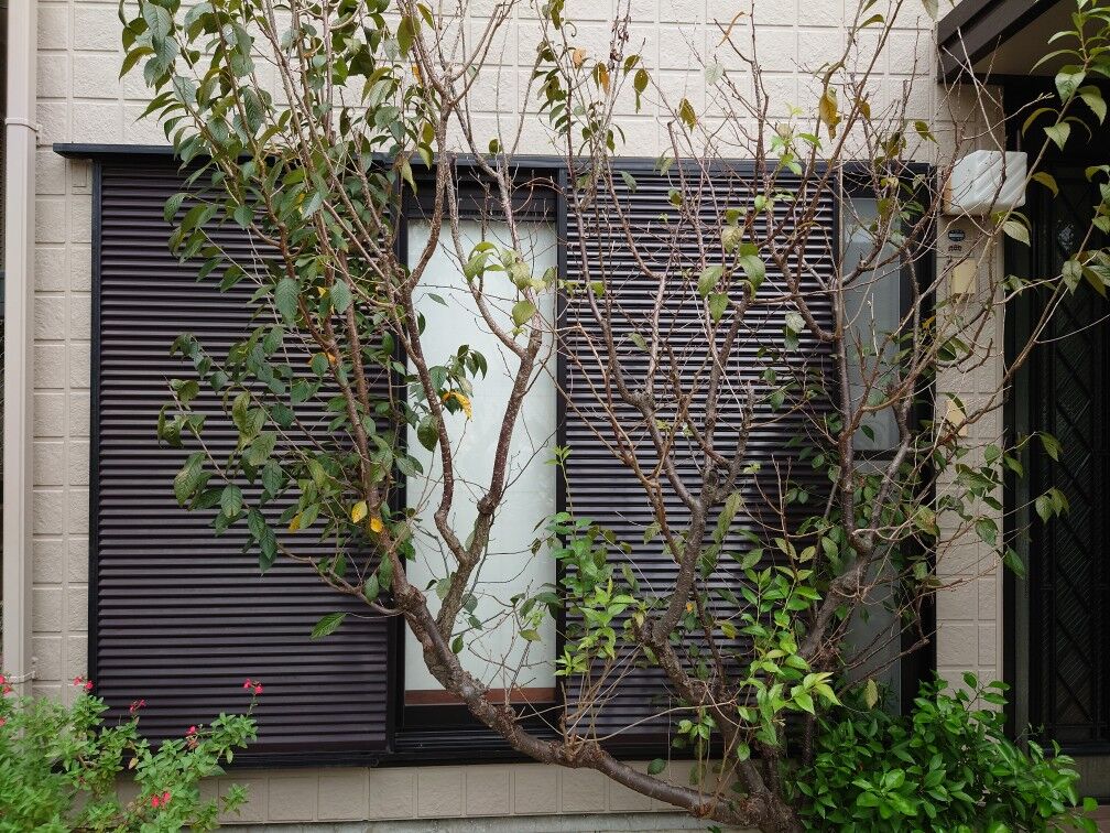 画像1705：神奈川県横浜市／某マンション／風除室ドア框カバー工法