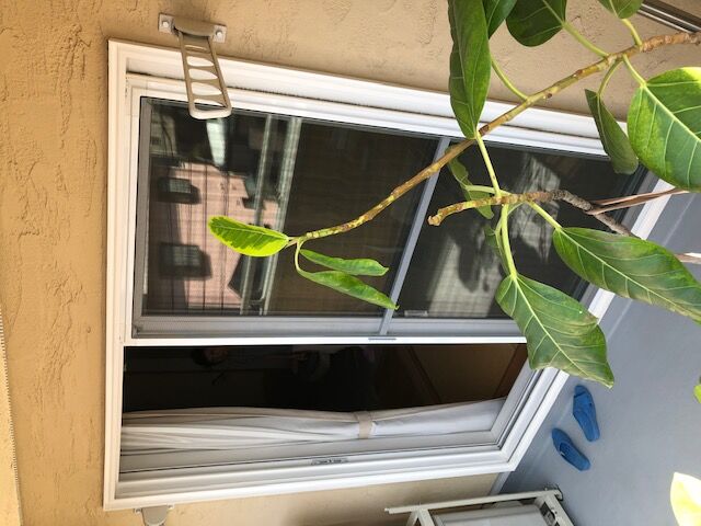 before画像