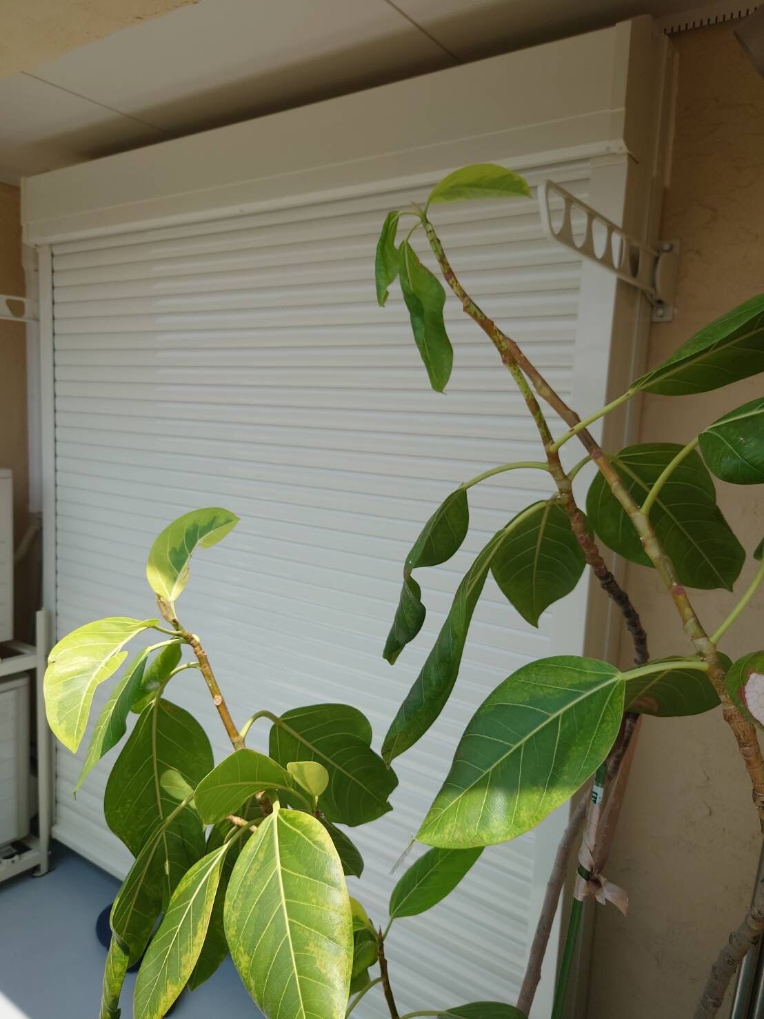 画像1755：神奈川県横浜市／某マンション／風除室ドア框カバー工法
