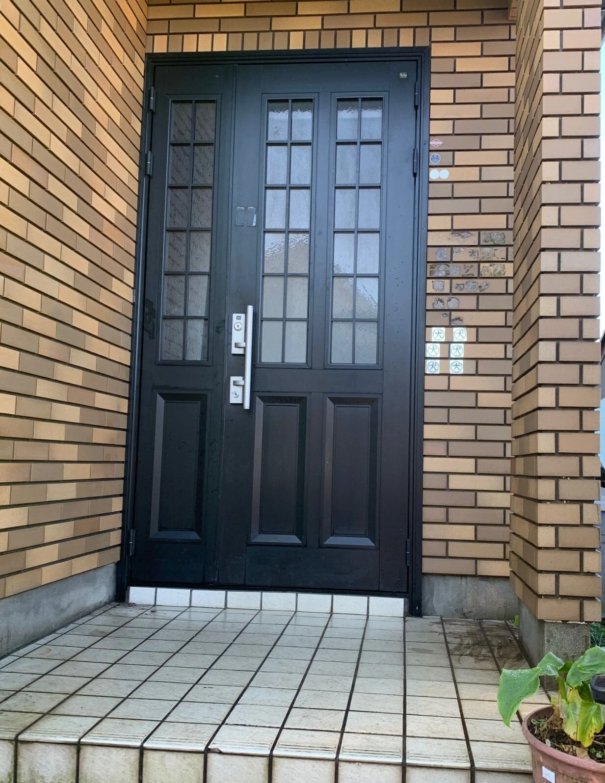 before画像