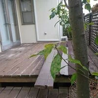 before画像