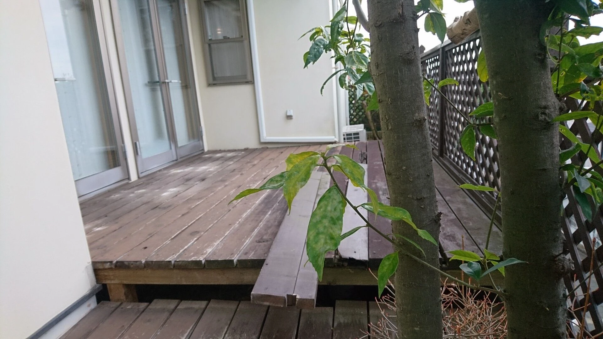 before画像